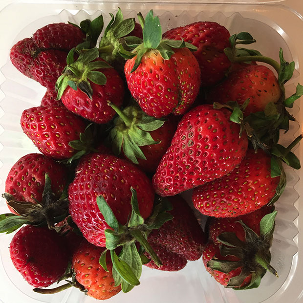 skinnylanestrawberries